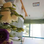 Apartment Arcadia