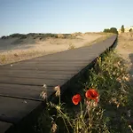 Arcadia Sunny Beach