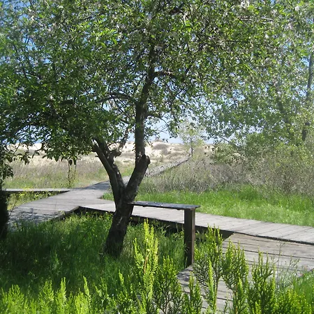 Sirena 3* Słoneczny Brzeg