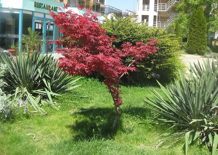 Arcadia Διαμέρισμα