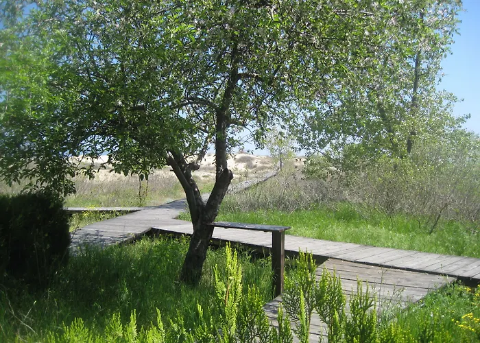 Arcadia * Σάνι Μπιτς