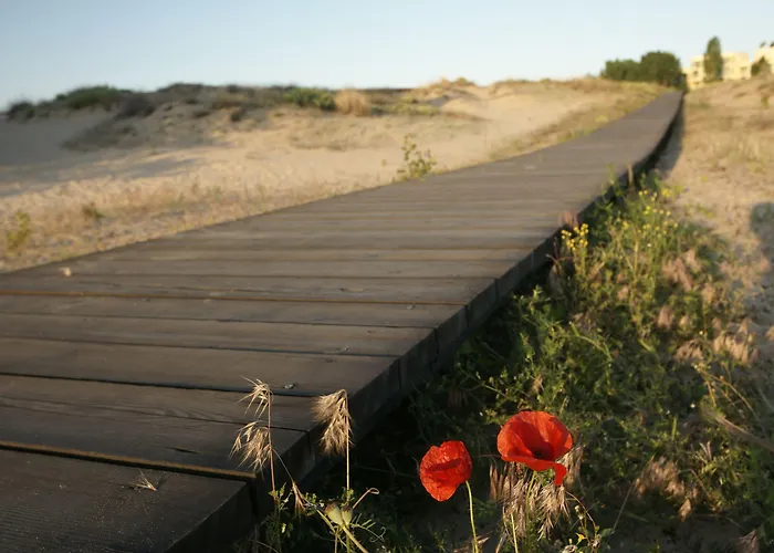 Arcadia Σάνι Μπιτς