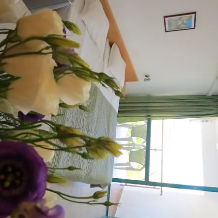 Hotell Sirena Hotel